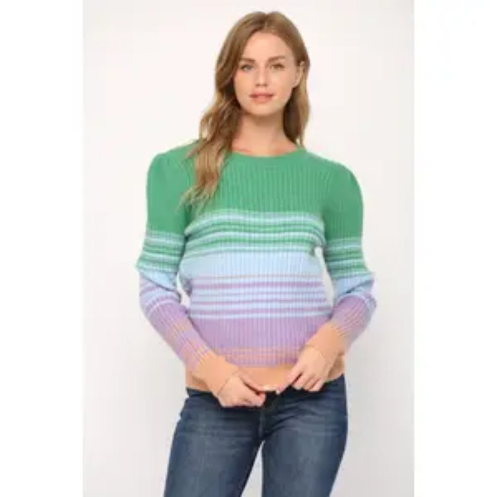 Fate Multi Color Puff Sleeve Crew Neck Sweater